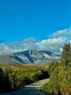Ansnes Arctic Panorama - 5