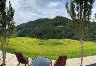 Sapawine Homestay - 6