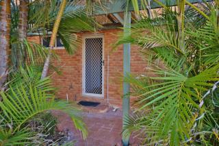 Tropical Palms - Kalbarri, WA - 3