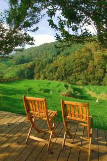 Sapawine Homestay - 5