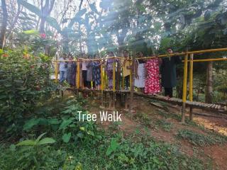 Kanthavara Heritage House I Forest Retreat - 5