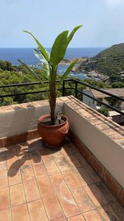 Casa en Begur - 0