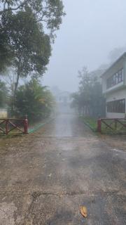 Wayanoora Heritage - 0