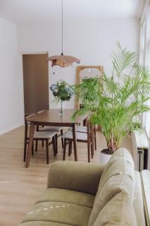 Apartment in the center of Maassluis - 5