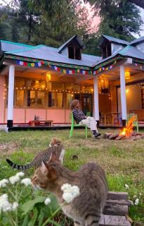 Devritti Himalayan Stay, Yoga and Wellness Centre - 2