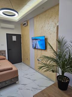 Studio centar Lazic 2 - 7