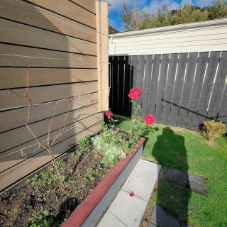 The Garden Nest - 2