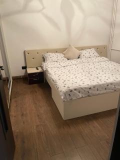 Apartament central cu vedere la parc - 7
