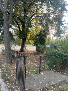 Apartament central cu vedere la parc - 4