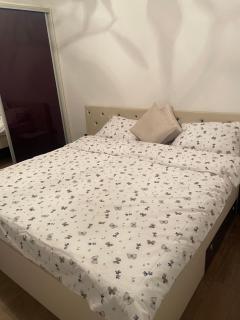 Apartament central cu vedere la parc - 3