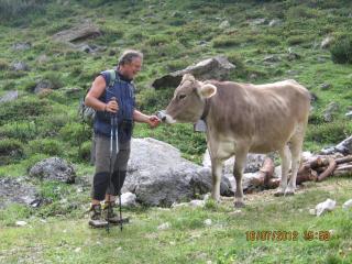 Alpengasthaus Gleinserhof - 1