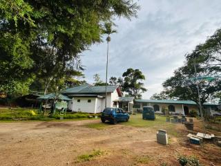 Biuline Holiday Bungalow - 4