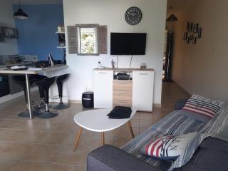 Les Avirons Appartement 1 Ch, piscine, terrasse et calme - 3