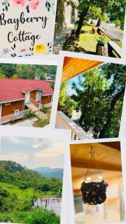 Bayberry chalet - 1