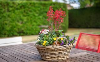 Holiday home Schouwse Duin 13 - 8