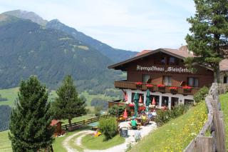 Alpengasthaus Gleinserhof - Schönberg im Stubaital - 8