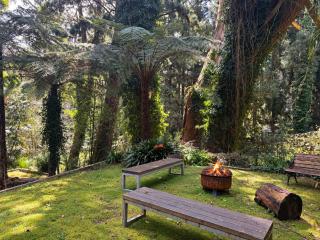 Kallista Silvermist House and Guest House by Ready Set Stay - 2