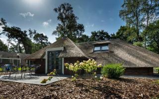 Holiday home Sprielderbosch 21 Casa del bosque on the Veluwe - 9