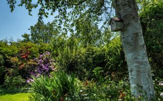 Holiday home Schouwse Stee 2 - 5