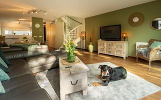 Holiday home Rampweg 20-18 Duinhuis 18 - 4