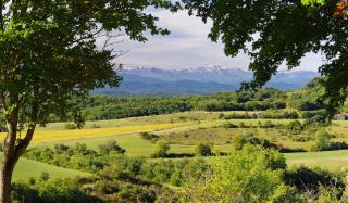 Domaine de la Trille - 4