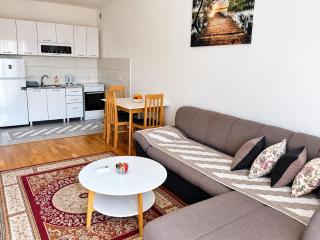 AGA Apartman Podgorica - 6