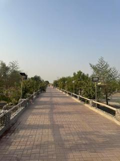 Al maha reserve - 2