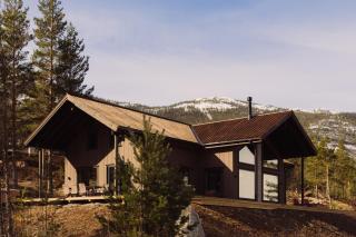 Villa Fossen with sauna and jacuzzi - 9