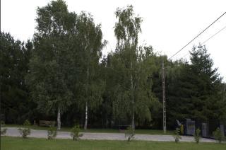 Nad Marózką - 4