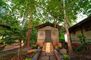 Dandeli Jungle Valley Resort - 7