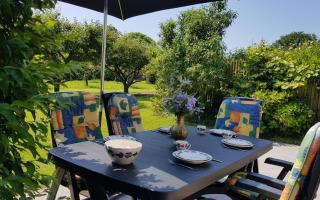 Holiday home Buitenplaats 11 ‘’Wiltzangh’’ - 9