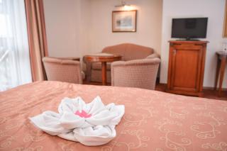 Hasik Hotel - 2