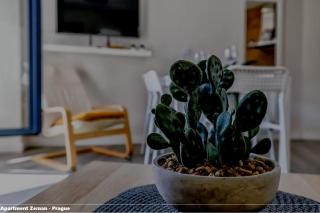 Apartment Zeman - 2