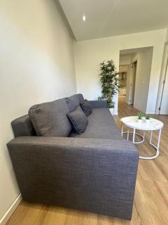 Claveles de Luxe - 5