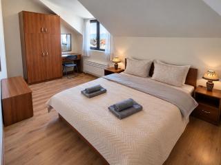 Cozy Nest Apartment 200m from GONDOLA - 9