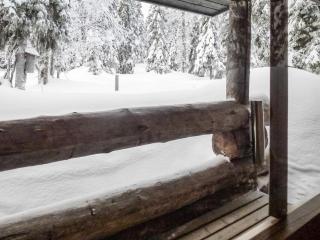 Holiday Home Kuruhovi b by Interhome - Ruka - 1