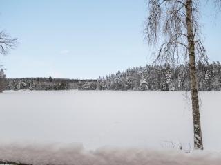 Holiday Home Lepikko by Interhome - 8