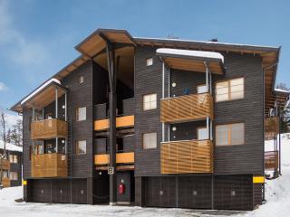 Apartment Karhunvartijan linna b11 by Interhome - 9