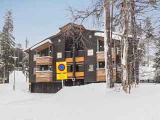 Apartment Karhunvartijan linna a3 by Interhome - 0