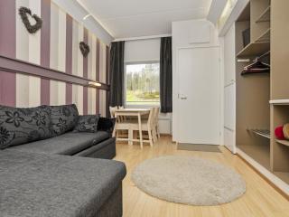 Apartment Talvitähti c 37 by Interhome - 8