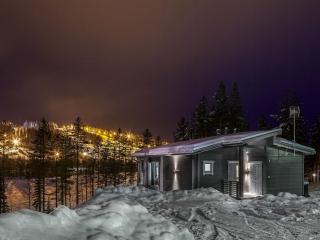Holiday Home Villa ukkohalla by Interhome - 9