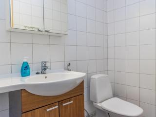 Holiday Home Lumikelo b5 by Interhome - 1