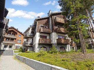 Apartment Levin otava 2 by Interhome - 0