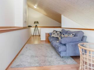 Holiday Home Tahko ski koivulantie by Interhome - 4