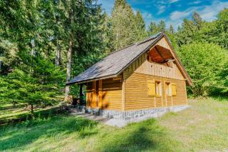 Koča v gozdu, Forest house near Bled - 0