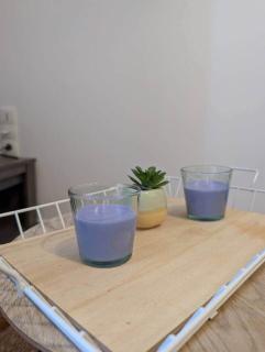 appartement "le petit palud" - 3