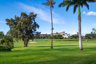 Kaanapali Royal C101 - 3