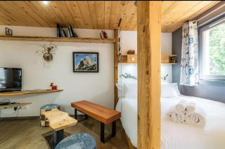 Small haven of peace with Mont-Blanc view - Chamonix-Mont-Blanc - 6