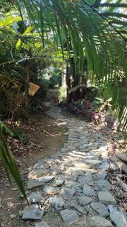 Kalimpong Bungalow - 5