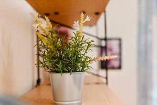 KAT-IKEA Vintage 2 - 3
